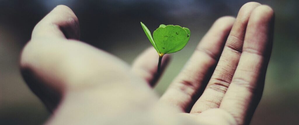 Foto di name_ gravity su Unsplash